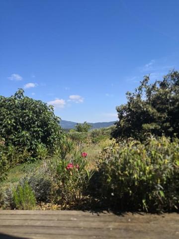 Villa Spacieuse Avec Terrasse Et Vue Mont Ventoux Entrechaux Eksteriør bilde