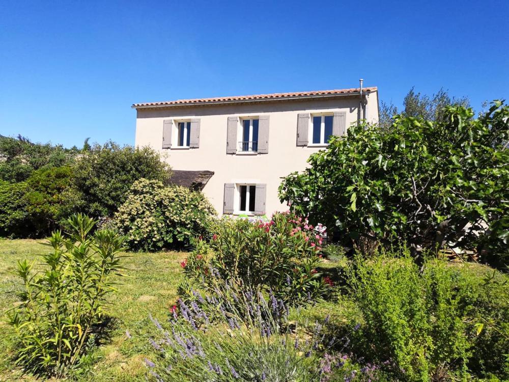 Villa Spacieuse Avec Terrasse Et Vue Mont Ventoux Entrechaux Eksteriør bilde