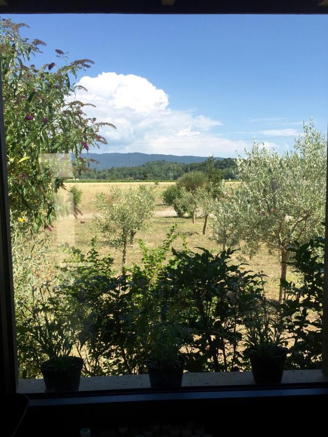 Villa Spacieuse Avec Terrasse Et Vue Mont Ventoux Entrechaux Eksteriør bilde