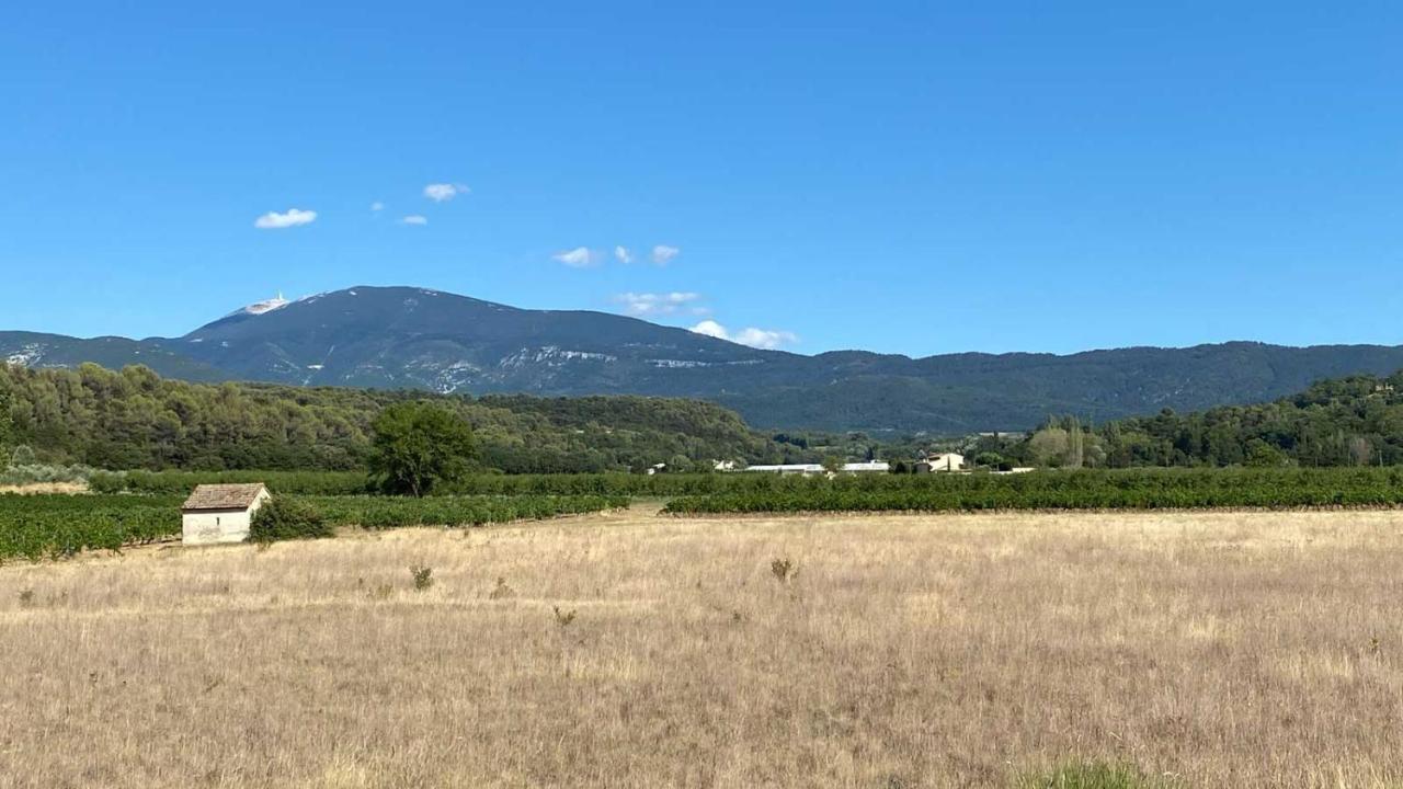 Villa Spacieuse Avec Terrasse Et Vue Mont Ventoux Entrechaux Eksteriør bilde
